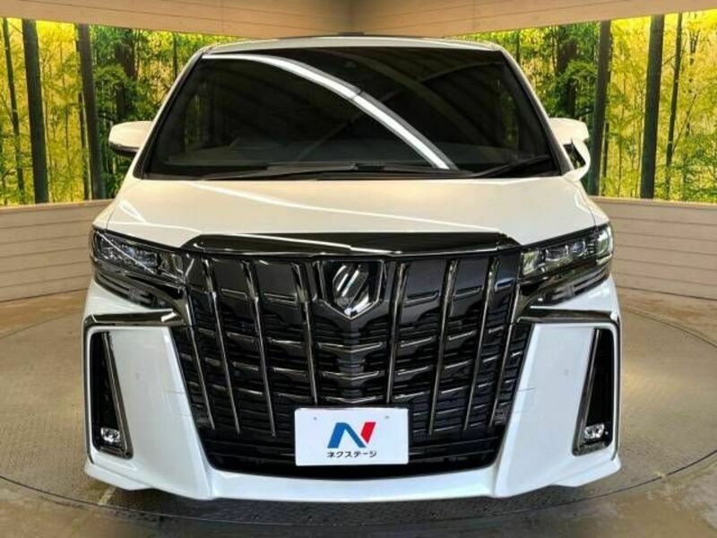 ALPHARD-14