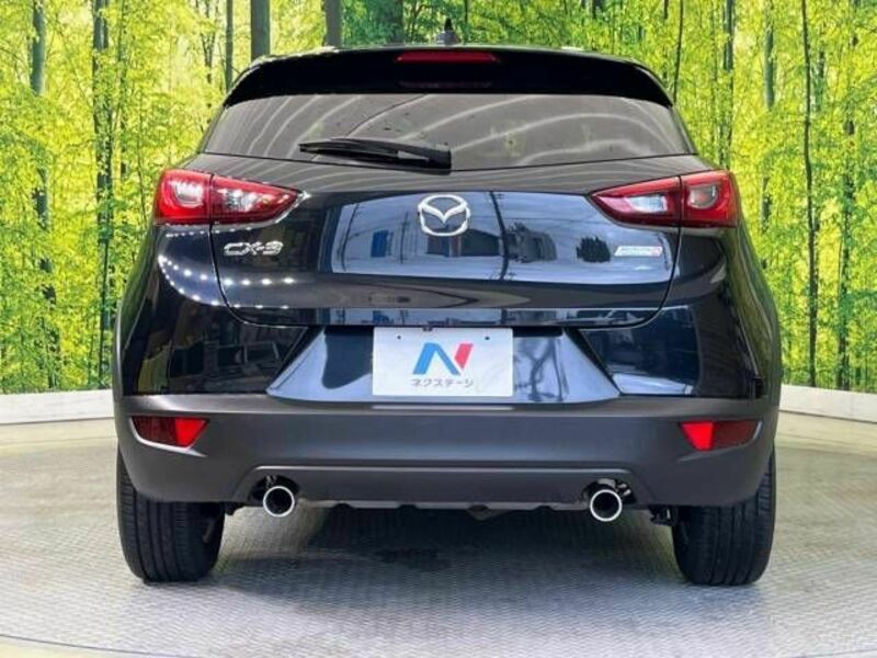 CX-3-15