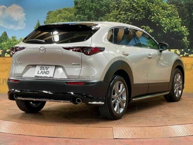 CX-30-17