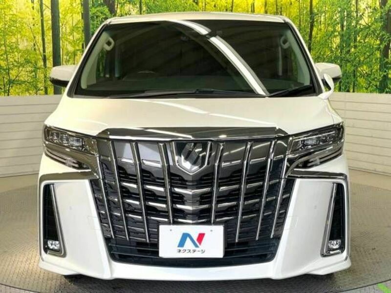 ALPHARD-15