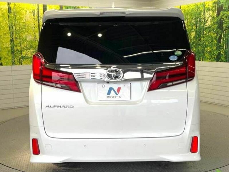 ALPHARD-16