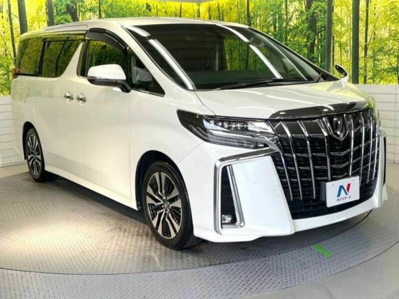 ALPHARD-17