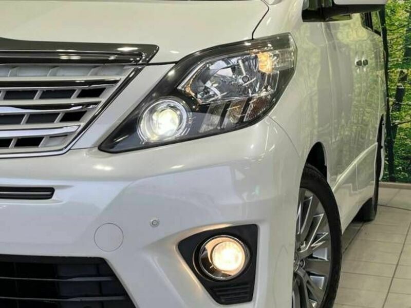 ALPHARD-13