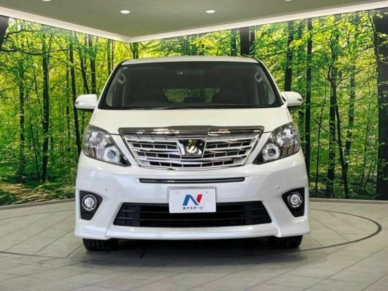 ALPHARD-15