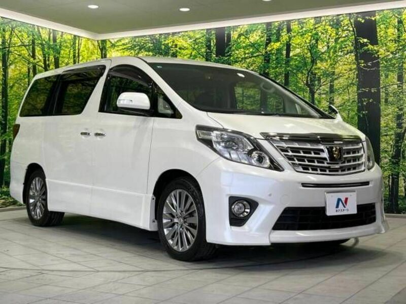 ALPHARD-17