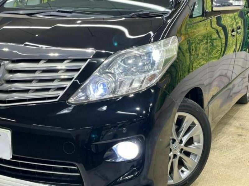 ALPHARD-13