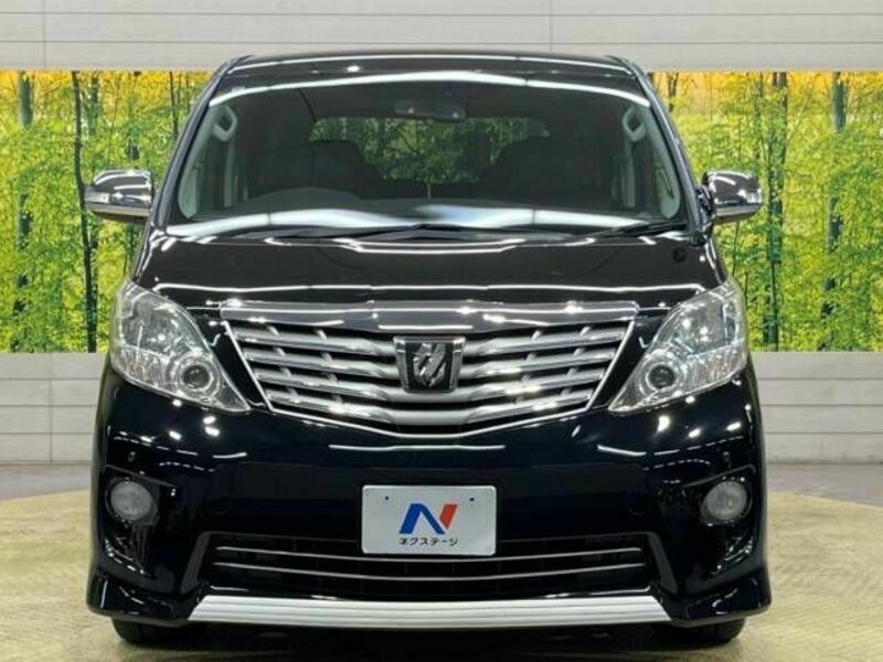 ALPHARD-15