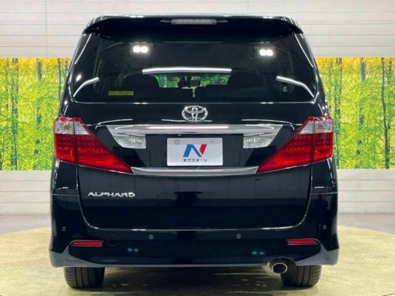 ALPHARD-16