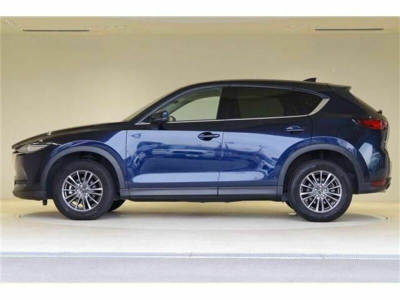 CX-5-19