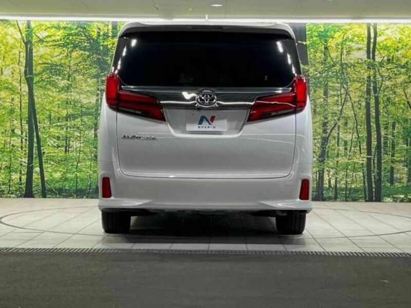 ALPHARD-15