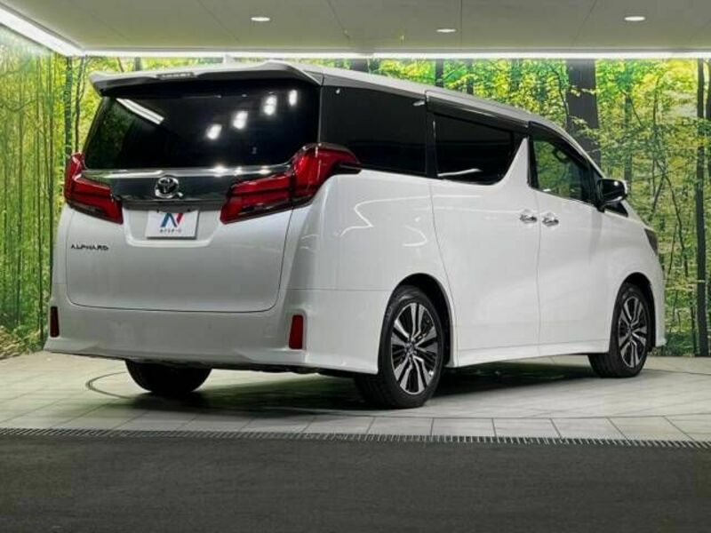 ALPHARD-17