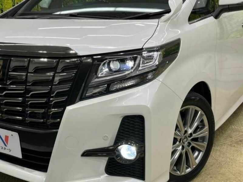 ALPHARD-13