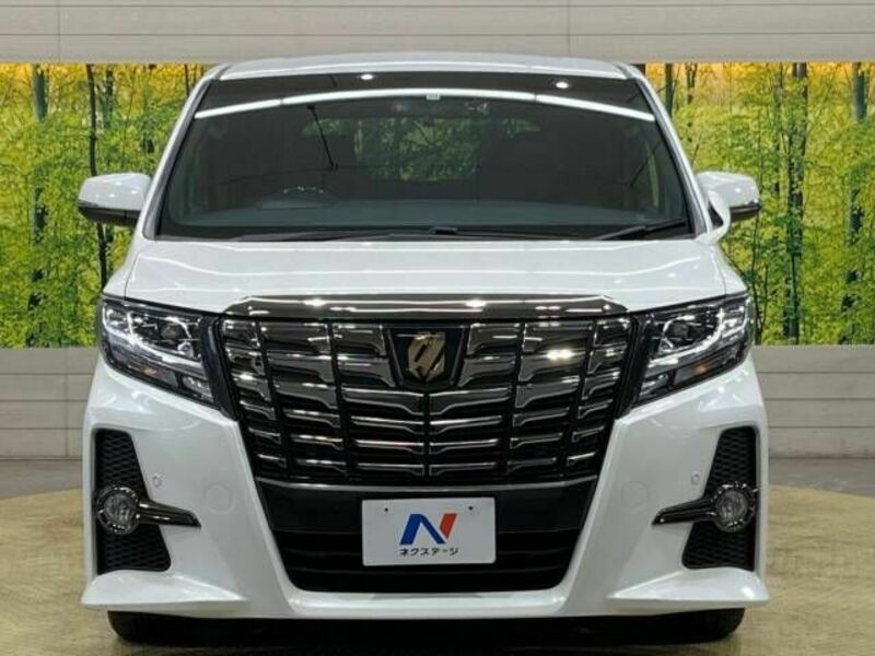 ALPHARD-15