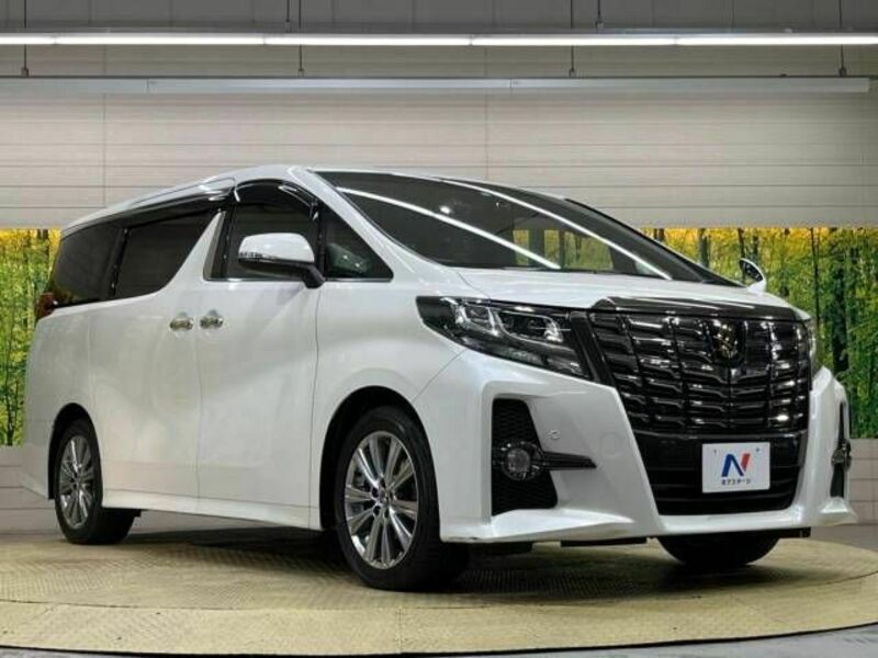 ALPHARD-17