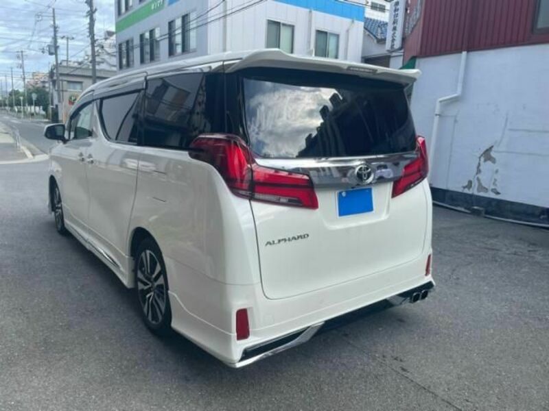 ALPHARD-6