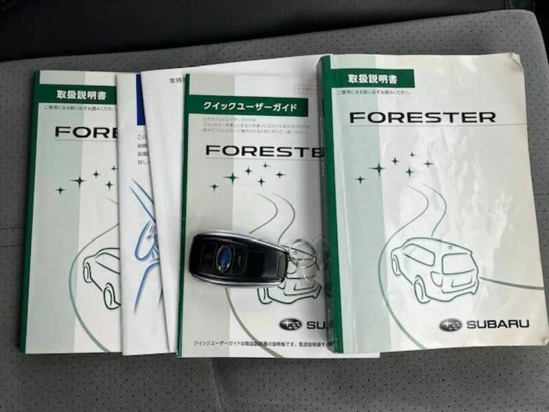 FORESTER-10