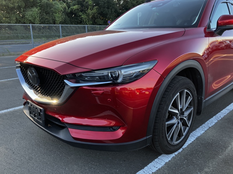 CX-5-49