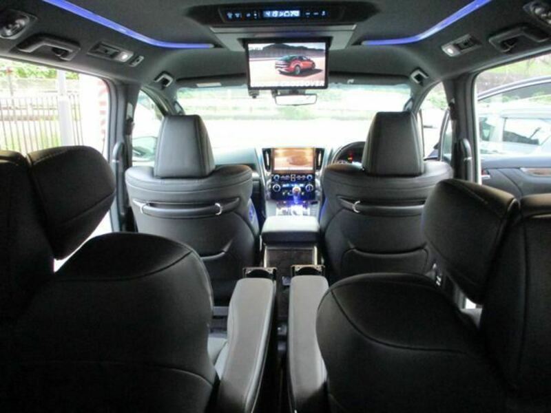 ALPHARD-16