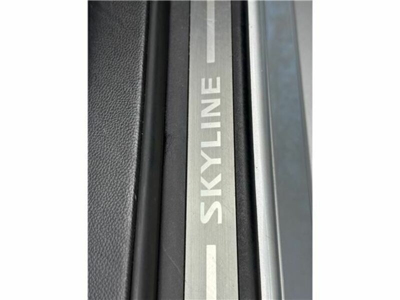 SKYLINE-44