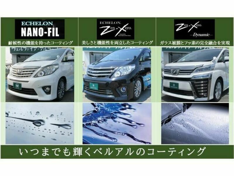 ALPHARD-49