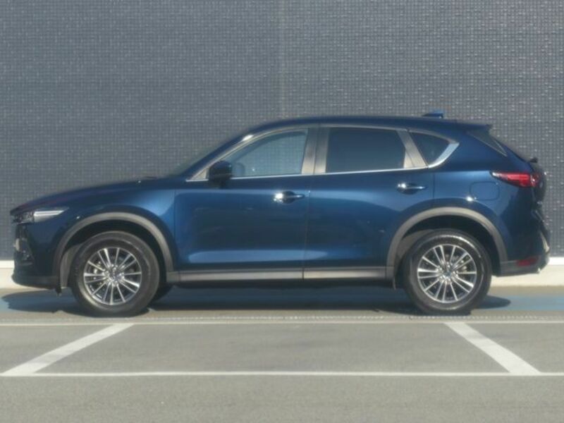 CX-5-19