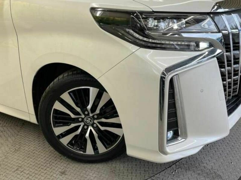 ALPHARD-13