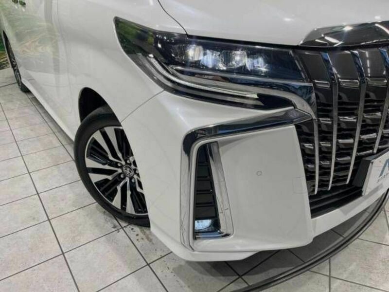 ALPHARD-13