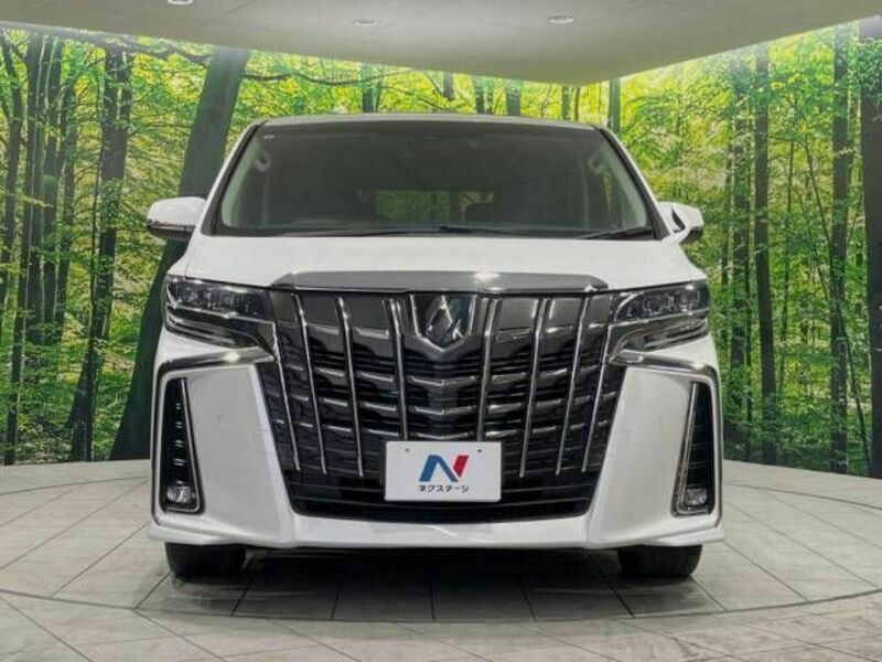 ALPHARD-15