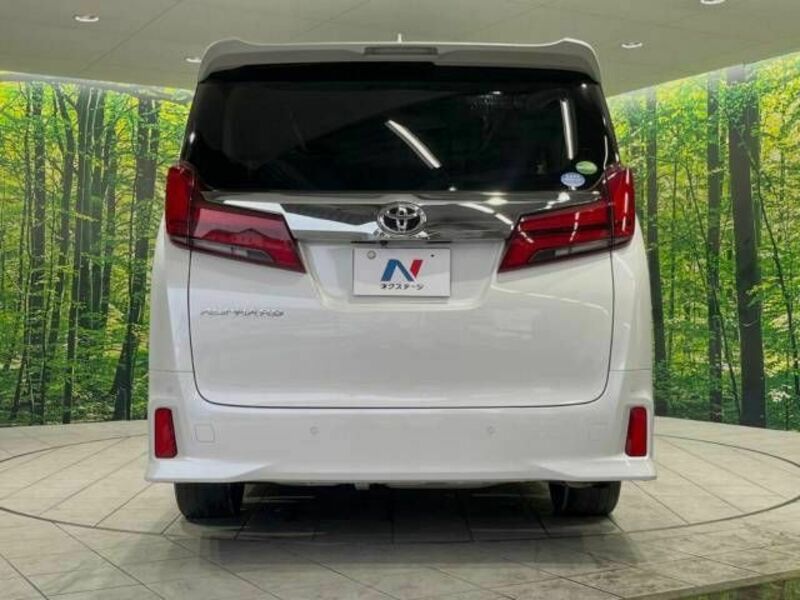 ALPHARD-16