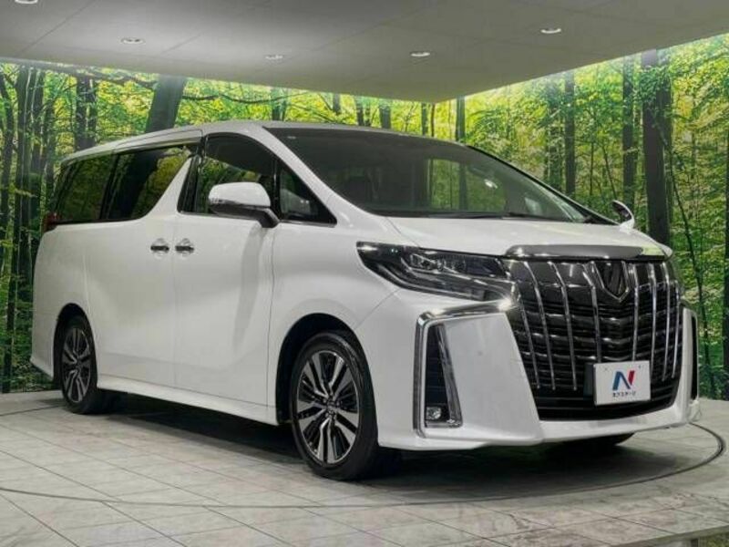 ALPHARD-17