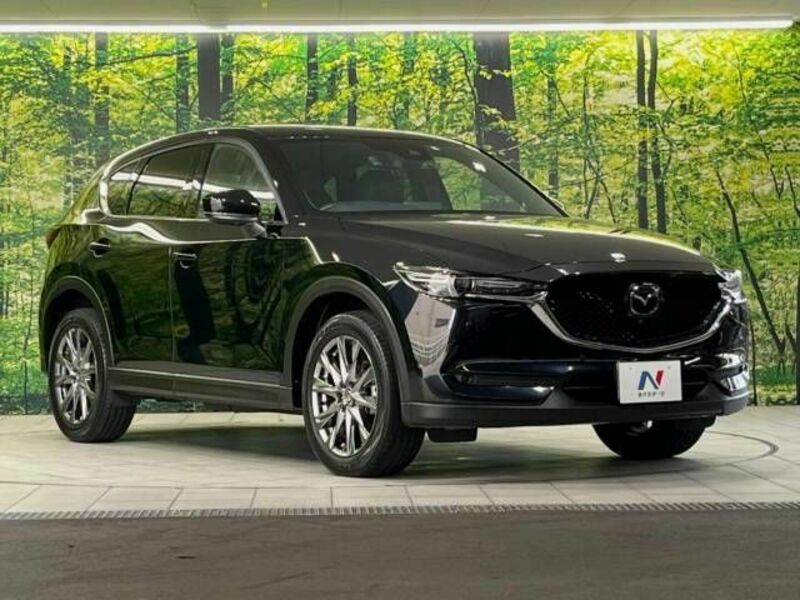 CX-5-16