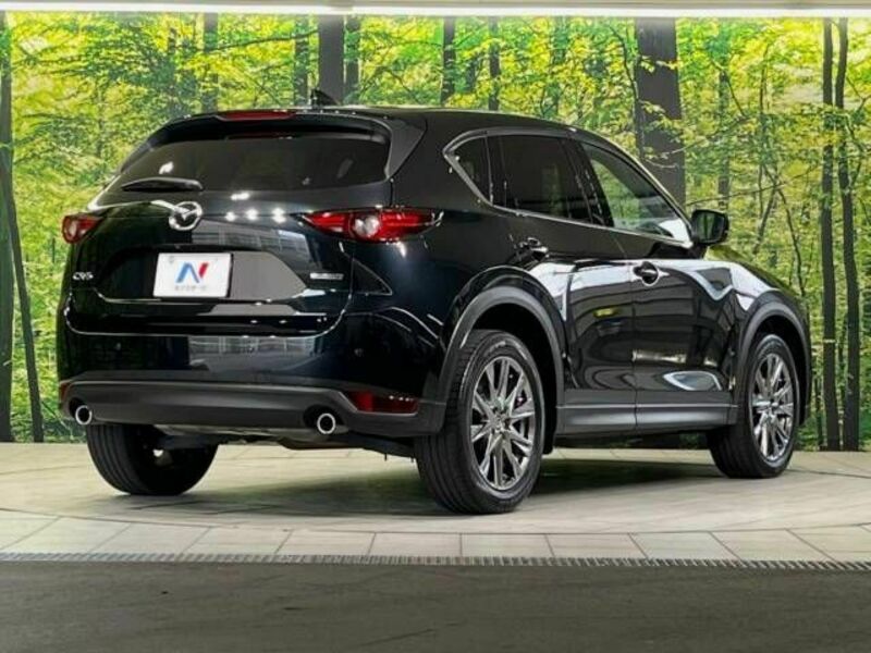 CX-5-17