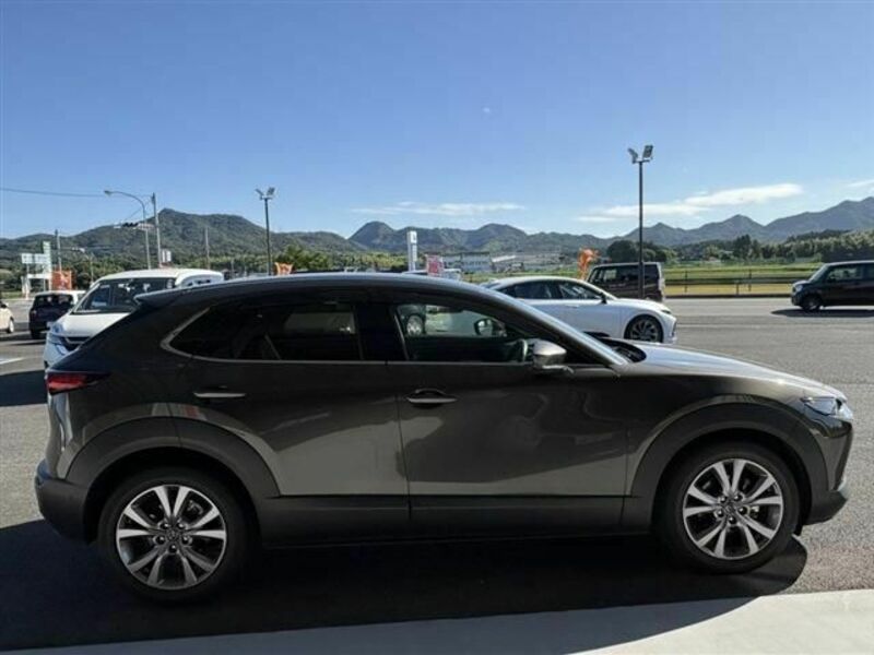 CX-30-3