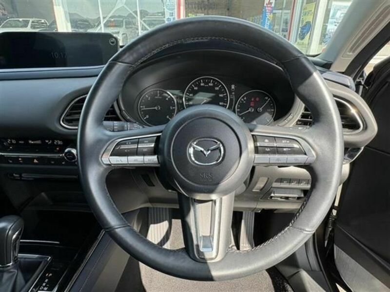 CX-30-19