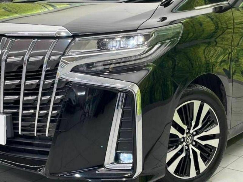 ALPHARD-13