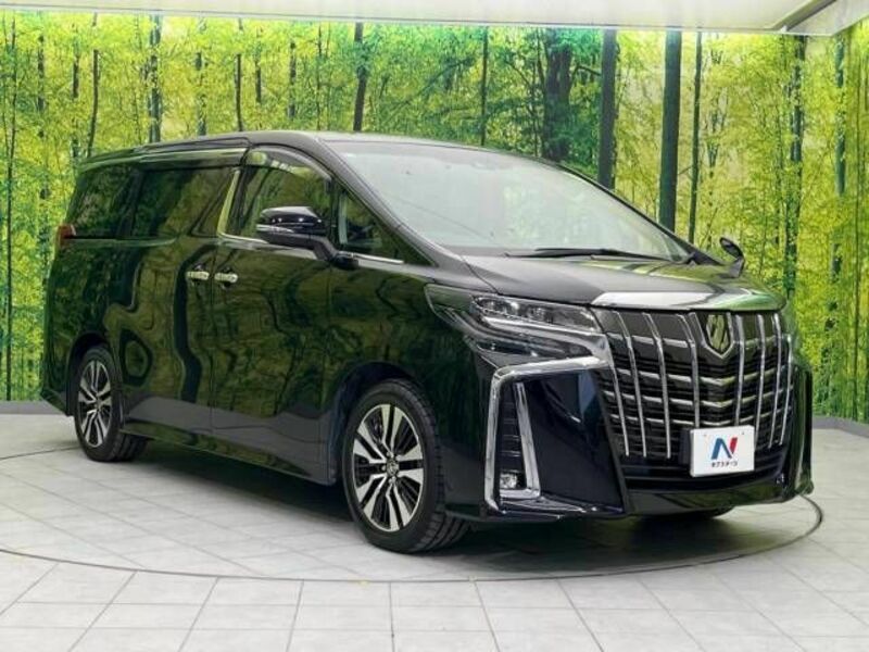 ALPHARD-17