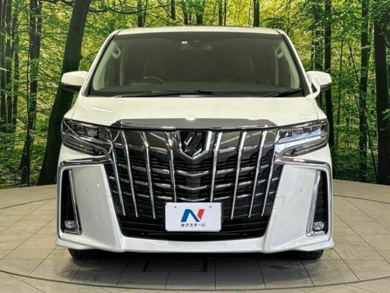 ALPHARD-14