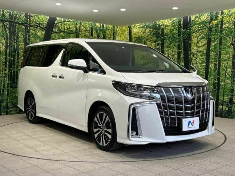 ALPHARD-16