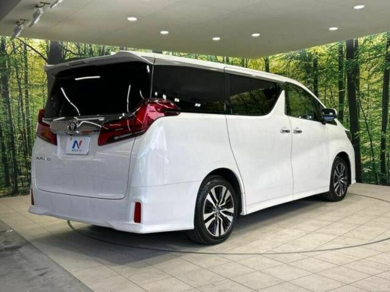 ALPHARD-17