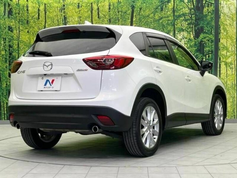 CX-5-17