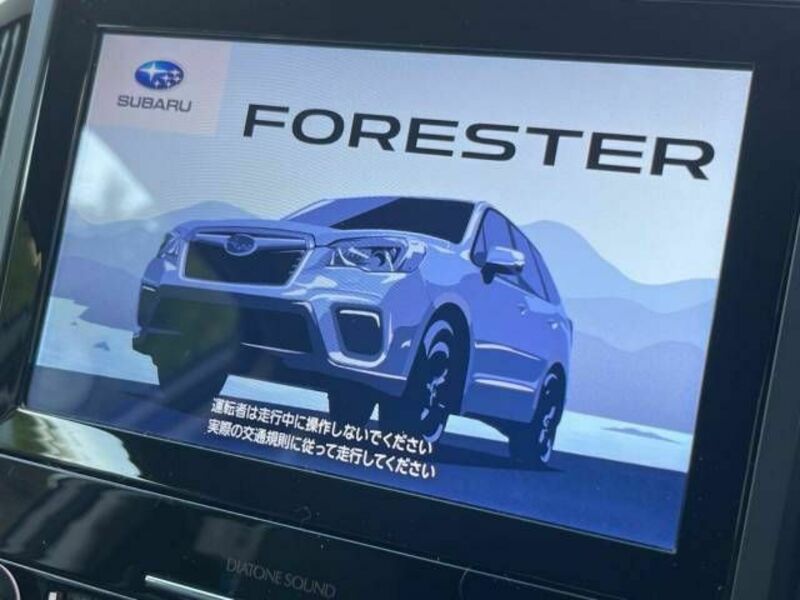 FORESTER-4