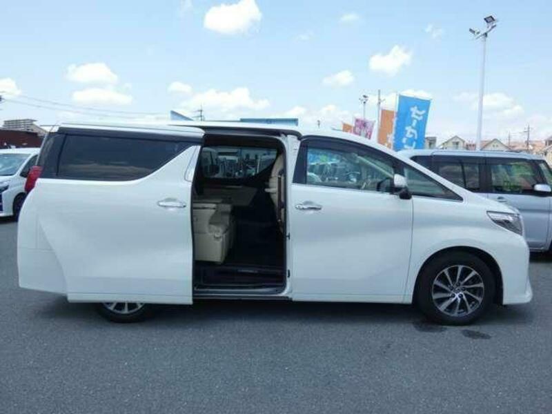 ALPHARD-13