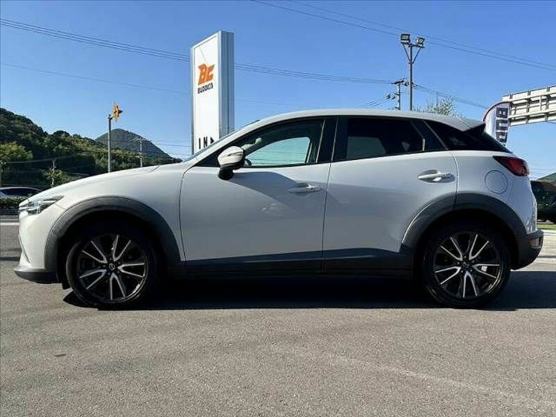 CX-3-10