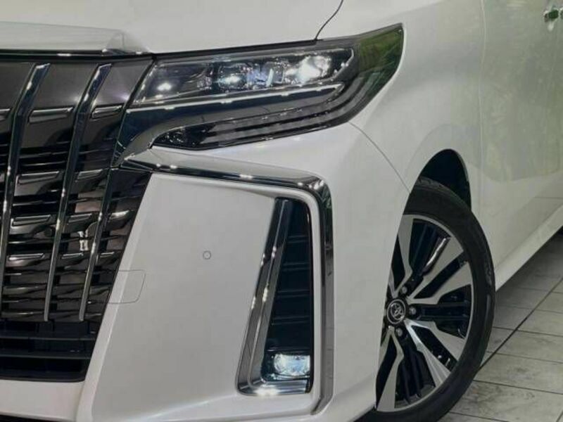 ALPHARD-13