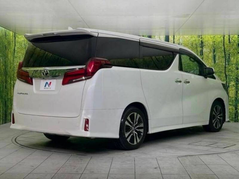 ALPHARD-18