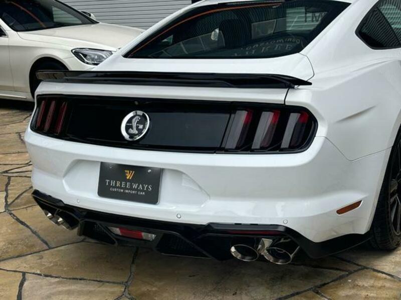 MUSTANG-19