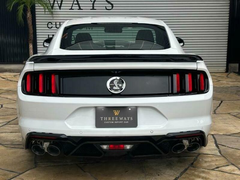 MUSTANG-17