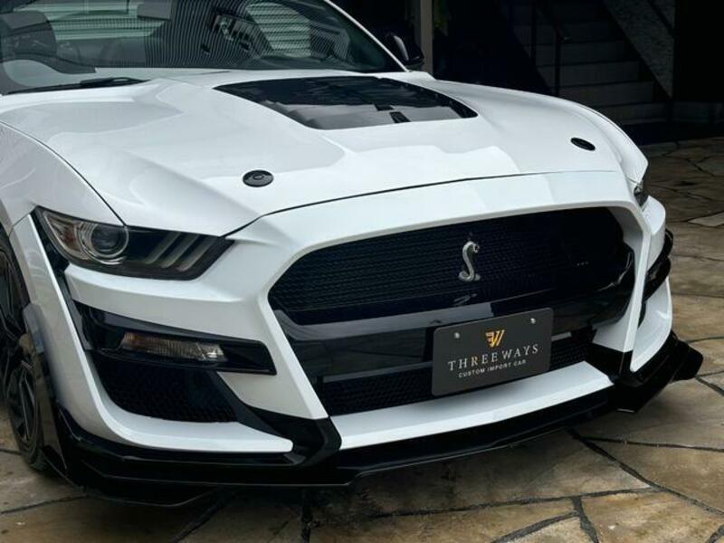 MUSTANG-9