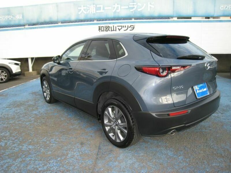 CX-30-2