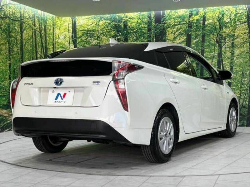 PRIUS-17